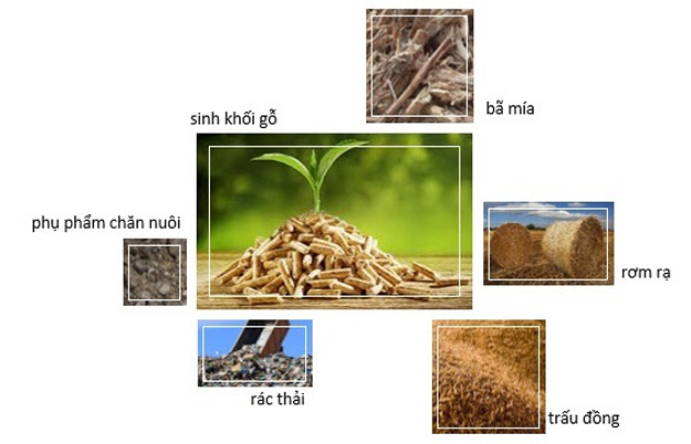 Năng lượng sinh khối và tiềm năng chưa được khai phá